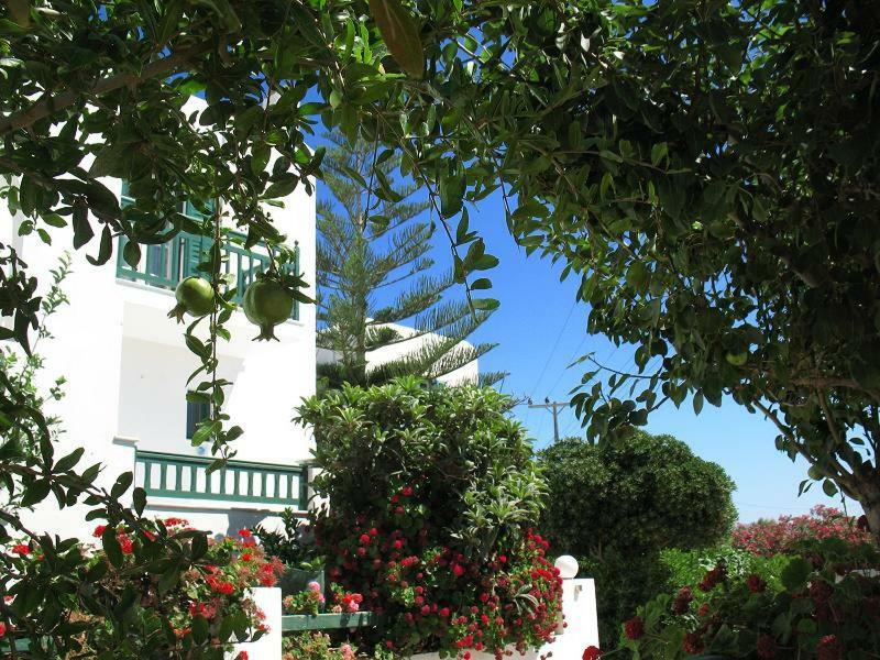 Hotel Kapari Agia Anna  エクステリア 写真